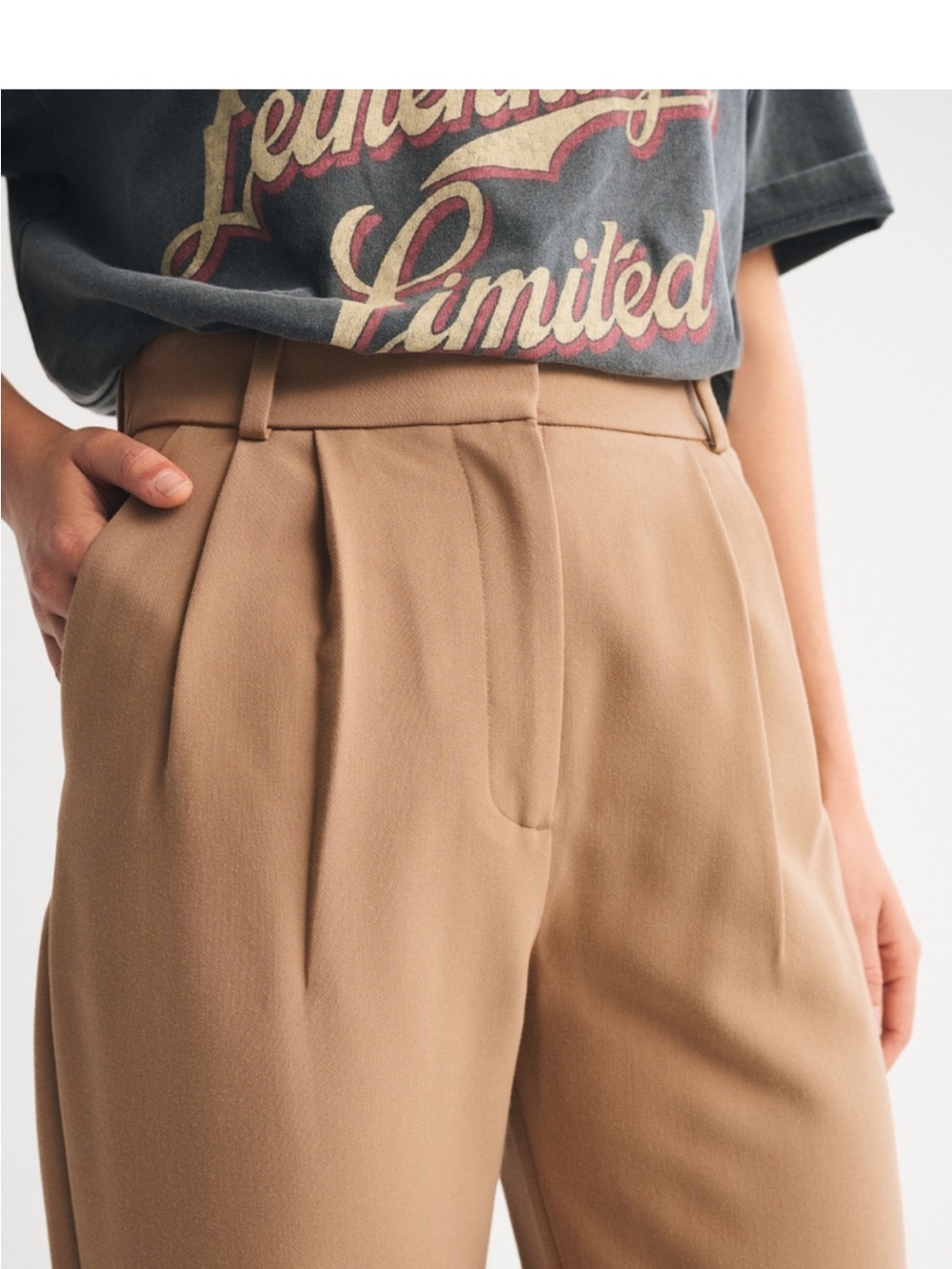 Abercrombie & Fitch Tan High-Waist Pleated Trousers